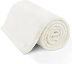 Item thumbnail for item d3c25c84-b5a2-4879-b067-d54375087695