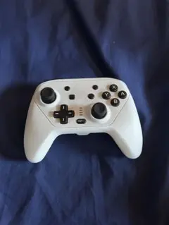 GAMETECH ProSW ワイヤレスコントローラー ホワイト