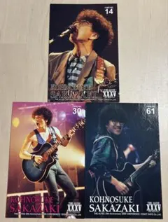 THEALFEE40th 2014年GENESISツアートレカ30枚セット THEALFEE40th 2014年GENESISツアートレカ30枚セット