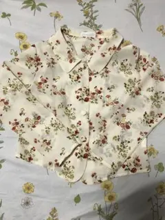 Item thumbnail for item 1b5dd4fb-e33a-4495-a36d-b5730bf91f74