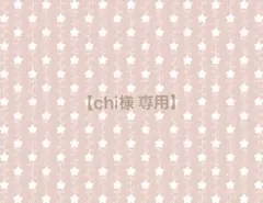 【chi様 専用】 ぬい服 オーダー ページ
