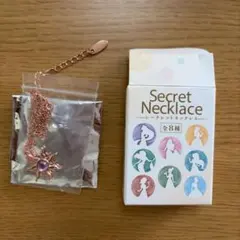 ディズニーストア　シークレットネックレス ラプンツェル