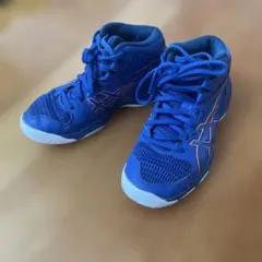 バッシュ20センチ　アシックス　ダンクショット　青（バレーボール）