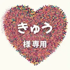 きゅう 様　専用ページ