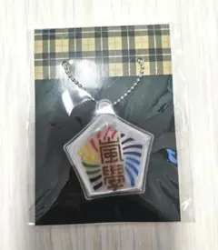 嵐 2017 ワクワク学校 キーホルダー