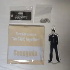 straykids スンミン アクスタ 展示会