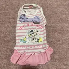 ペットパラダイス　メッシュフリルワンピース　ピンク　ディズニー　ミニー　ss