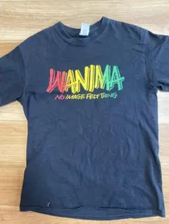 WANIMA Tシャツ 100%コットン