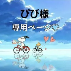 ぴぴ様専用ページ♡