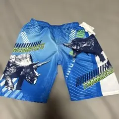 Item thumbnail for item 14dc0913-ef42-429b-b5d4-804ee73b239b