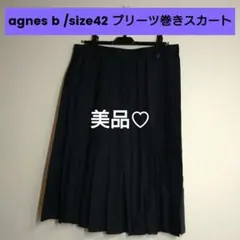 値下げ済✦美品♡アニエスベー 黒プリーツスカートのサムネイル