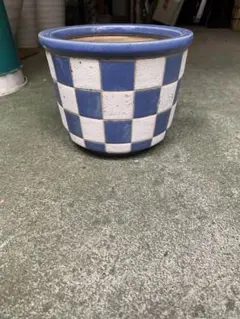 青と白のチェック模様の植木鉢
