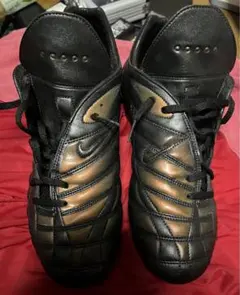 Item thumbnail for item e0d79000-6261-422f-bc70-c00d592c8be5