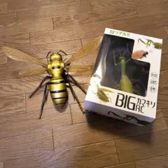 2026年最新】カマキリの人気アイテム - メルカリ