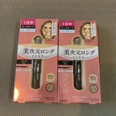 ヒロインメイク 美次元ロングマスカラ 01 ブラック 2本セット人気お湯でオフのサムネイル