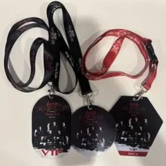 Stray Kids dominATE ワールドツアー VIP パス 3種