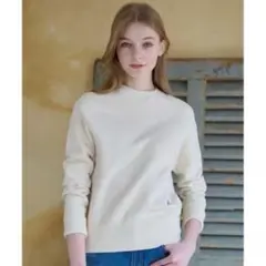DRESSTERIOR ドレステリア デキシー吊裏毛プルオーバー 01のサムネイル