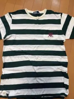 Polo by Ralph Lauren 緑と白ストライプ Tシャツ