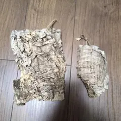 Item thumbnail for item d9fdef8b-90e8-404e-874e-74289c7d6cb1