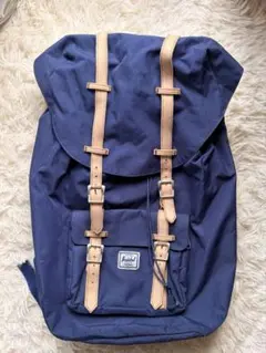 Item thumbnail for item c610d849-97ef-45a0-8e51-48b64c002e77