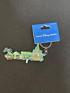 東京ディズニーランド アクリルキーホルダー