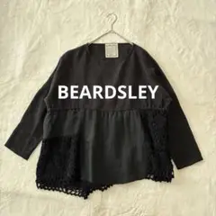 【BEARDSLEY】長袖　カットソー　リネン　モヘヤ　レース