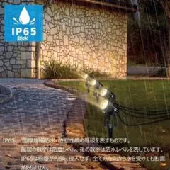 Item thumbnail for item d33af440-3017-466e-867d-20f6df12cd05