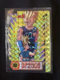 週刊少年ジャンプ展 ドラゴンボール カード 2-02 R オールスターカード 週刊少年ジャンプ展 ドラゴンボール カード 2-02 R オールスターカード