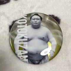 rui様 リクエスト 2点 まとめ商品