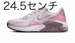 ナイキ ウィメンズ エア マックス エクシー DX0113-001