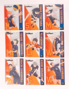ハイキュー クリアカードコレクション4 ゴミ捨て場の決戦 烏野まとめ