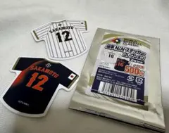 Item thumbnail for item 131294bc-3533-49d7-9679-cf196f4af49f