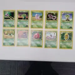 旧ポケモンカード　くさタイプ　10枚セット　ノーマルカード　英語版
