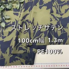 Item thumbnail for item ffaf6b76-626d-4008-99ea-5e96da953ae9