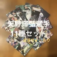 プロ野球チップスカード矢野輝弘選手11種まとめセット(キラ1種、ノーマル5種他)