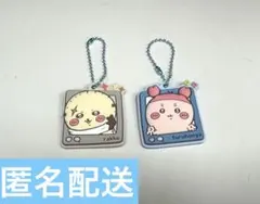 ちいかわ　ぷっくりラバマスグミ　4 ラッコ　古本屋