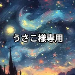 うさこ樣専用ページ【取り置き中4月4 日迄】
