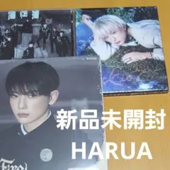 &TEAM　HARUA　we on fire back to life ハルア