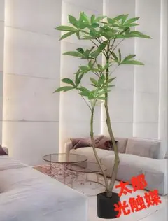 光触媒 人工観葉植物 ウォールグリーン フェイクグリーン ハシラ