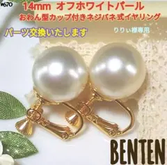 りりぃ様専用です。