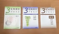 Item thumbnail for item 37371c6d-e311-4864-9bcb-2b620acccee2