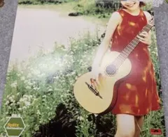 スピッツ アナログ盤 ハチミツ インディゴ地平線 2枚セット 1997年盤