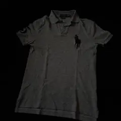 polo big pony