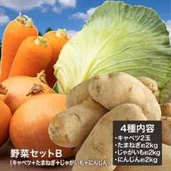 野菜セットC(キャベツ2玉・新たまねぎ・にんじん各約2kg・ピーマン約