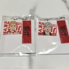 ハイキュー 夜久リエセット