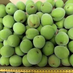 しーちゃん様、専用です。自家製南高梅です。1.4キロ位です。夏ばて防止