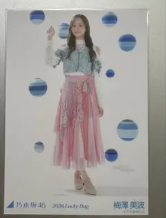 Item thumbnail for item ee16de99-556f-4b64-80c1-7d829e430697