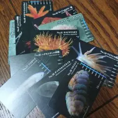 Item thumbnail for item e50f947e-f2d0-4025-b86c-d47973a7efc5