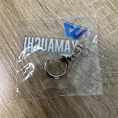 Item thumbnail for item b5d02692-5c67-40ef-9b39-da2049a25ab5