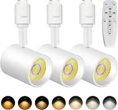 Item thumbnail for item 55dad54f-a8ba-4633-bbff-34340c723995